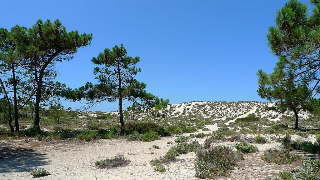Comporta Beach House Luaran gambar